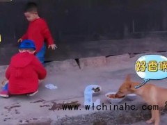 意想不到！《爸爸去哪儿4》9年未解之谜破案了，网友直呼"真相比剧情更荒诞"！