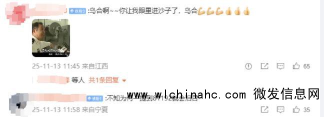 画家乌合麒麟发布新作《沧海承潮》 英雄归航泪目无数网友