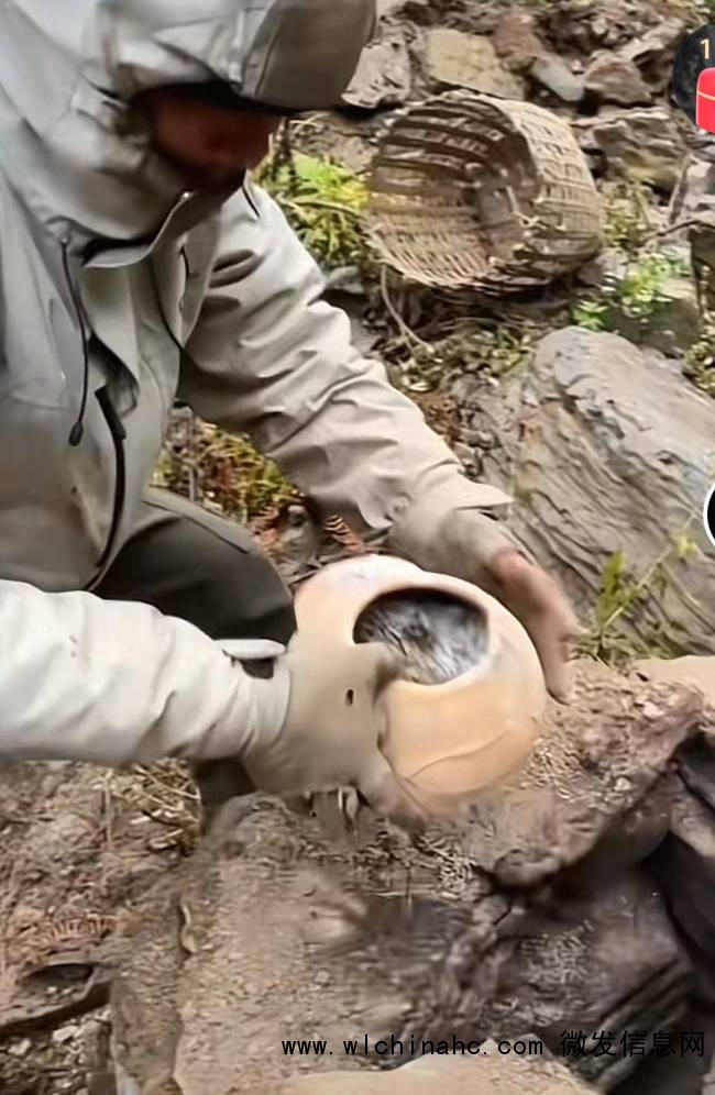 荒野求生选手“林北”备受网友喜爱