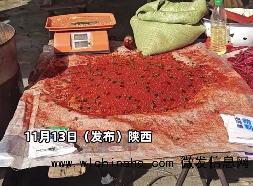 女子拍到辣椒面上飞满小蜜蜂，网友调侃：这酿出的蜜不得是甜辣的