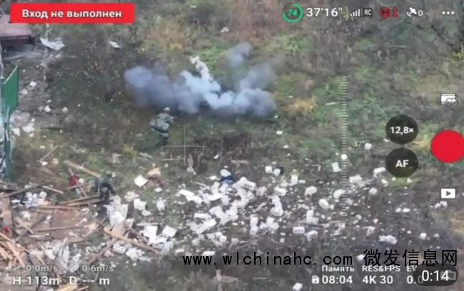 猪引爆地雷救下两名俄军士兵