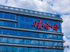 宗馥莉缺席娃哈哈经销商大会 许思敏发言稳军心[推荐]