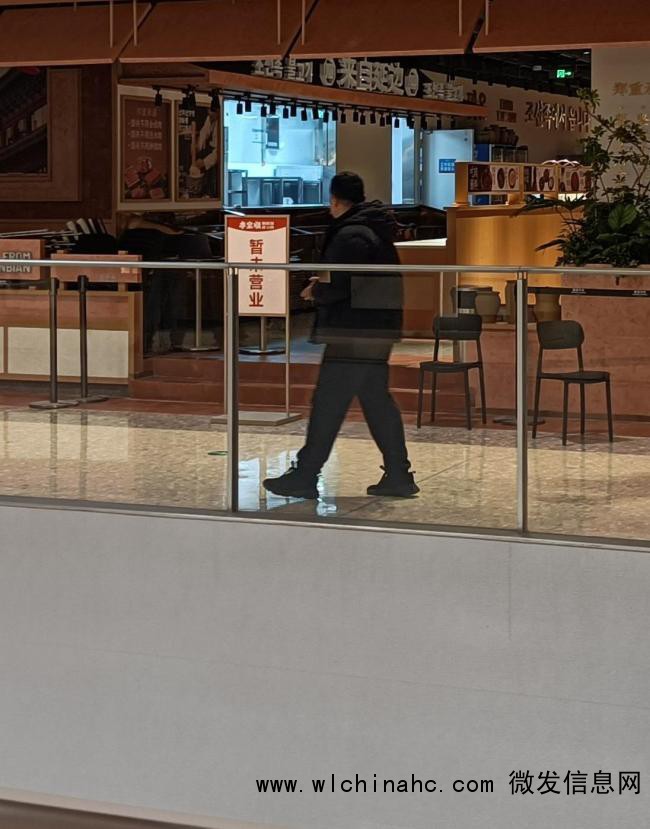 宠物狗上桌啃肉店铺停业全额退款 商家深表歉意并整改