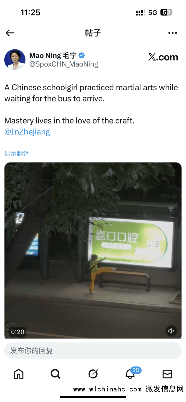 女孩公交站前练武术视频获毛宁点赞