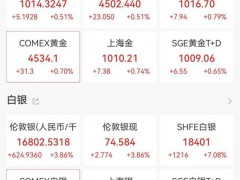 贵金属集体创新高：白银突破74，涨势未止[推荐]