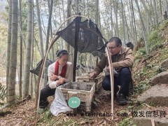 人大代表：山里的日子节节高 带动村民耕作致富