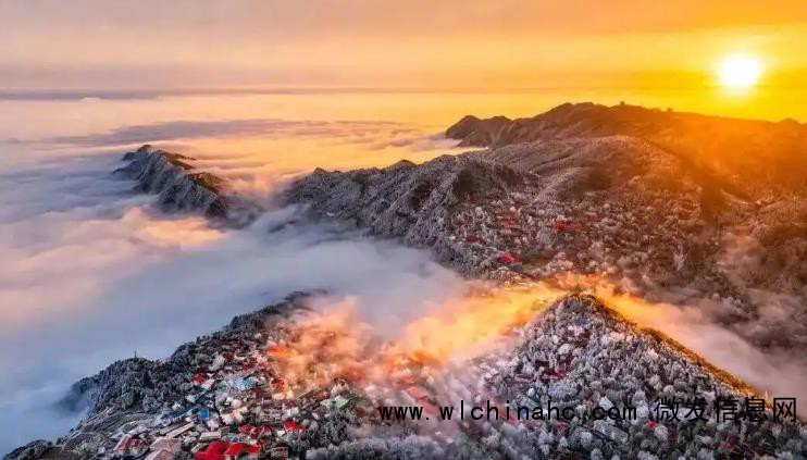 多个景区官宣:免费