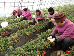 代表：要让农民工老有所依 关注农村留守老人养老问题[推荐]