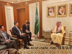 中国中东问题特使会见沙特外交大臣 共商地区和平稳定[推荐]
