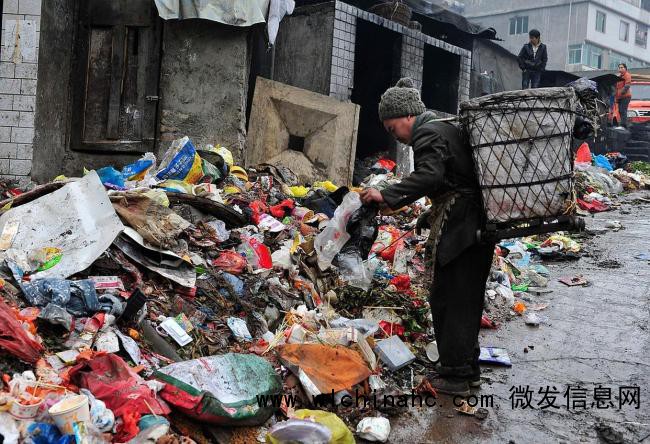 开30万的车捡3块钱的废品 乡村创业新机遇