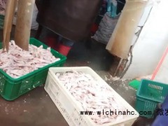 315曝光网红鸡爪 生产车间令人作呕  爱吃网红鸡爪的注意了！