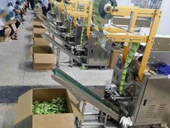 零食中加泻药 两公司被查多人获刑 制售有毒食品案告破[推荐]