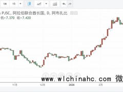 中东地产巨头崩了 股价暴跌超33%[推荐]